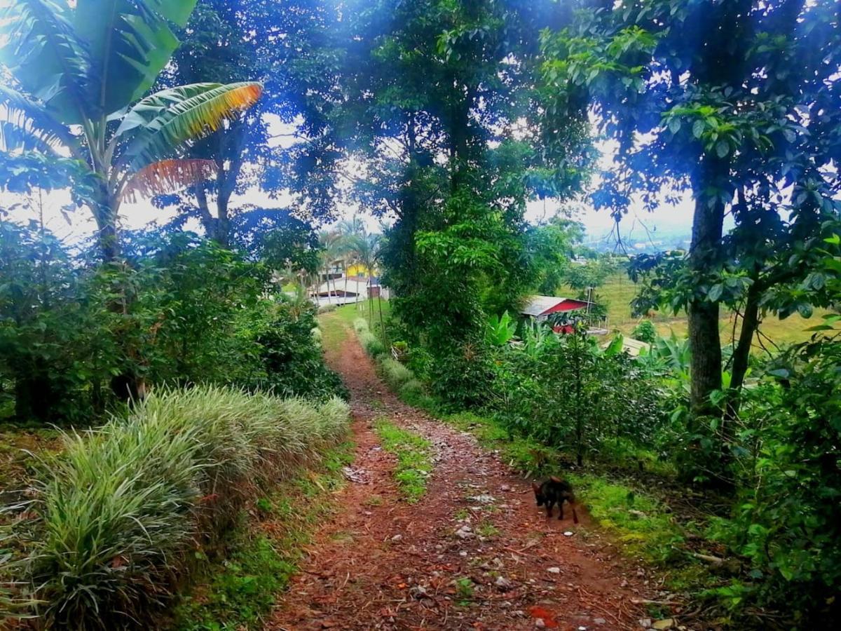 Finca Turistica Santa Clara Hostel Calarca Bagian luar foto